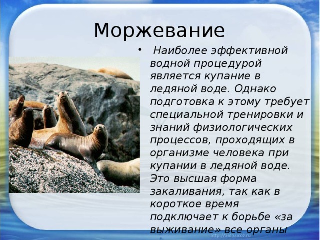 Моржевание  Наиболее эффективной водной процедурой является купание в ледяной воде. Однако подготовка к этому требует специальной тренировки и знаний физиологических процессов, проходящих в организме человека при купании в ледяной воде. Это высшая форма закаливания, так как в короткое время подключает к борьбе «за выживание» все органы человека. 