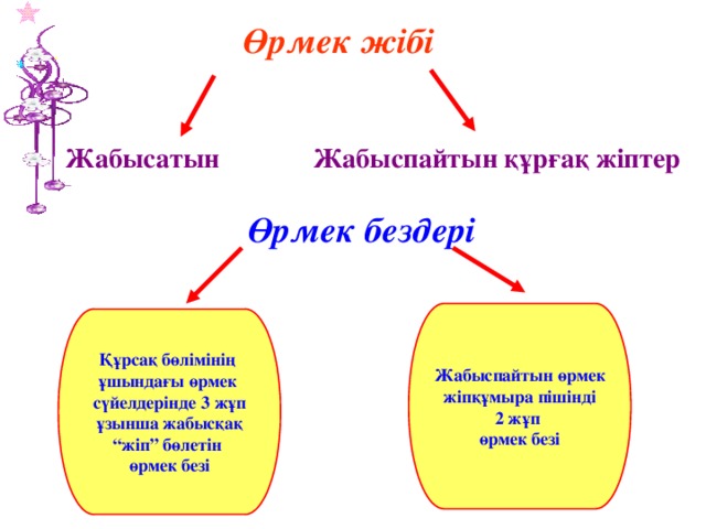 Өрмек жібі Жабыспайтын құрғақ жіптер Жабысатын Өрмек бездері Жабыспайтын өрмек  жіпқұмыра пішінді 2 жұп өрмек безі Құрсақ бөлімінің ұшындағы өрмек сүйелдерінде 3 жұп ұзынша жабысқақ “ жіп” бөлетін өрмек безі 