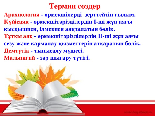Термин сөздер Арахнология - өрмекшілерді зерттейтін ғылым. Күйісаяқ - өрмекшітәрізділердің І-ші жұп аяғы қысқышпен, iлмекпен аяқталатын бөлік. Тұтқы аяқ - өрмекшітәрізділердің ІІ-ші жұп аяғы сезу және қармалау қызметтерін атқаратын бөлік. Демтүтік - тынысалу мүшесі. Мальпигий - зәр шығару түтігі.    