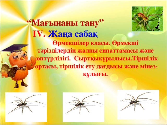 “ Мағынаны тану” ІV. Жаңа сабақ Өрмекшілер класы. Өрмекші тәрізділердің жалпы сипаттамасы және көптүрлілігі. Сыртқықұрылысы.Тіршілік ортасы, тіршілік ету дағдысы және мінез-құлығы . 