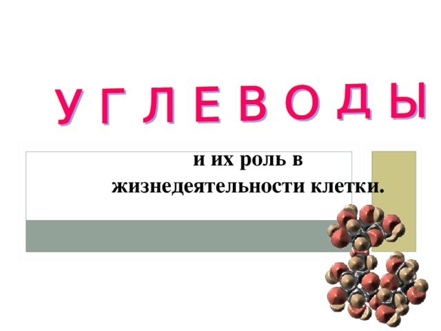 и их роль в жизнедеятельности клетки. 