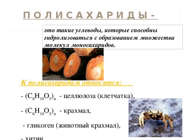 П О Л И С А Х А Р И Д Ы - это такие углеводы, которые способны гидролизоваться с образованием множества молекул моносахаридов. К полисахаридам относятся:  (С 6 Н 10 О 5 ) n - целлюлоза (клетчатка) ,  (С 6 Н 10 О 5 ) n - крахмал ,  - гликоген (животный крахмал), - хитин. 