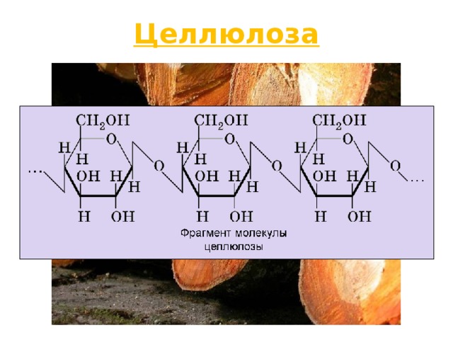 Целлюлоза 