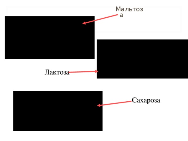 Мальтоза Лактоза Сахароза 