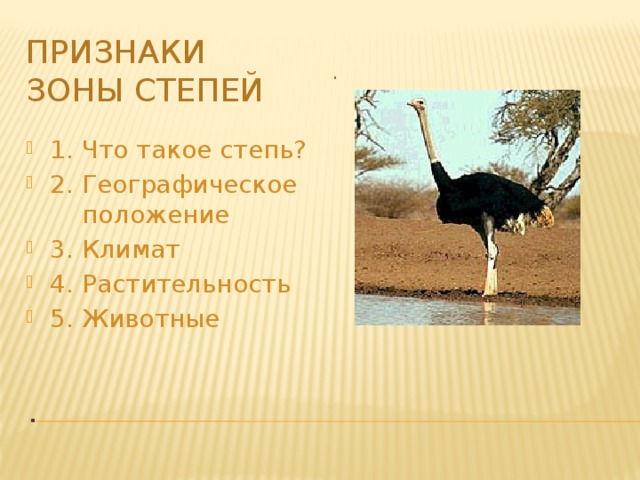 Признаки зоны степей . 1. Что такое степь? 2. Географическое  положение 3. Климат 4. Растительность 5. Животные .  