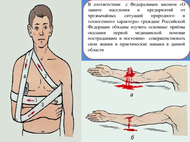 В соответствии с Федеральным законом «О защите населения и предприятий от чрезвычайных ситуаций природного и техногенного характера» граждане Российской Федерации обязаны изучить основные приёмы оказания первой медицинской помощи пострадавшим и постоянно совершенствовать свои знания и практические навыки в данной области 