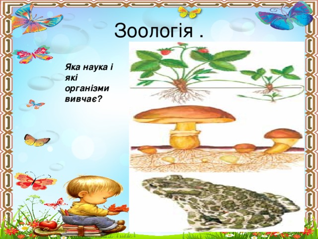 Зоологія . Яка наука і які організми вивчає?