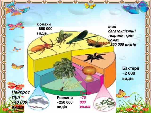 Комахи ~850 000 видів Iншi багатоклітинні тварини, крім комах ~300 000 видів Бактерiї ~2 000 видів Найпростiшi ~40 000 видів Гриби ~70 000 видів Рослини ~250 000 видів