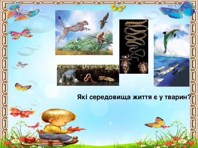 Які середовища життя є у тварин?