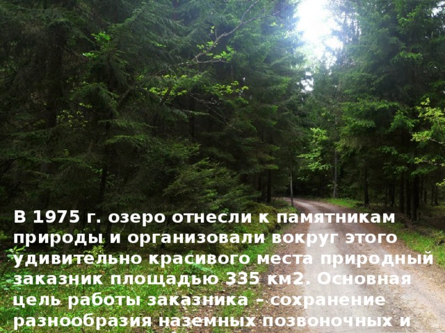  В 1975 г. озеро отнесли к памятникам природы и организовали вокруг этого удивительно красивого места природный заказник площадью 335 км2. Основная цель работы заказника – сохранение разнообразия наземных позвоночных и проведение научных исследований. 