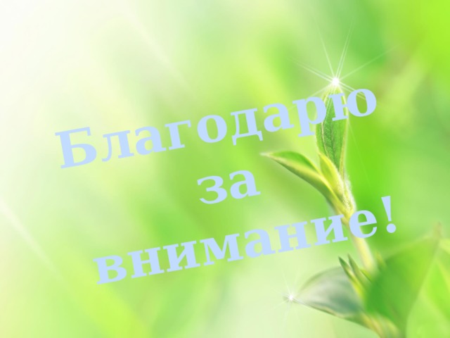 Благодарю за  внимание! 