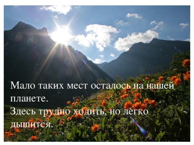 Мало таких мест осталось на нашей планете. Здесь трудно ходить, но легко дышится. … 