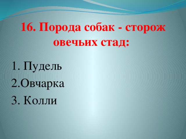 16. Порода собак - сторож овечьих стад:   1. Пудель 2.Овчарка 3. Колли   