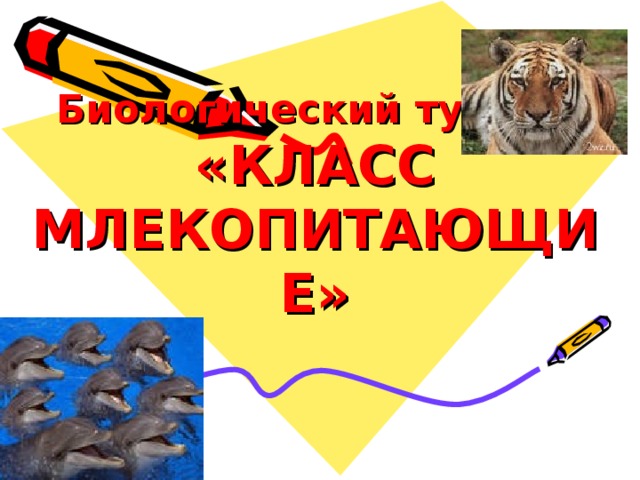 Биологический турнир «КЛАСС МЛЕКОПИТАЮЩИЕ»