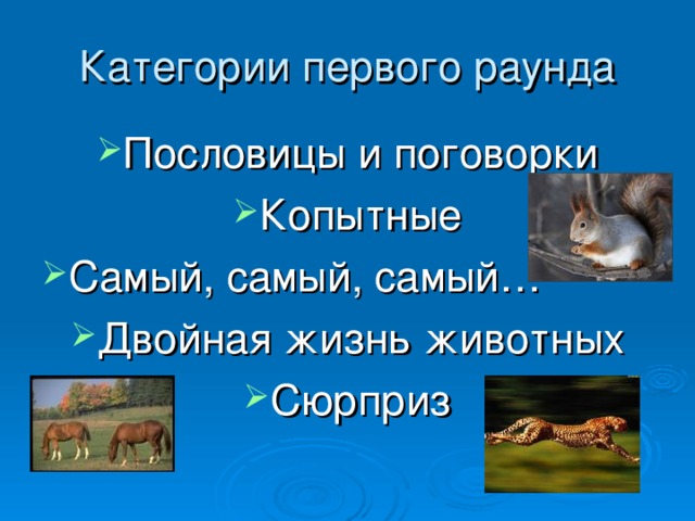 Категории первого раунда