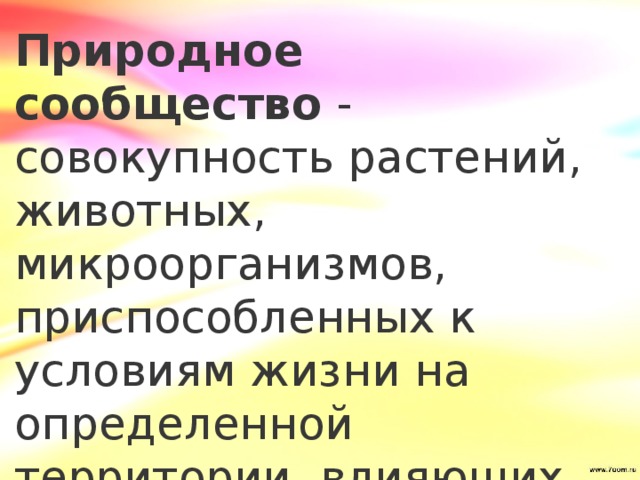 природное сообщество это 2 класс