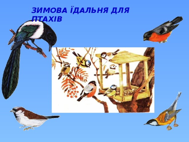 ЗИМОВА ЇДАЛЬНЯ ДЛЯ ПТАХІВ 