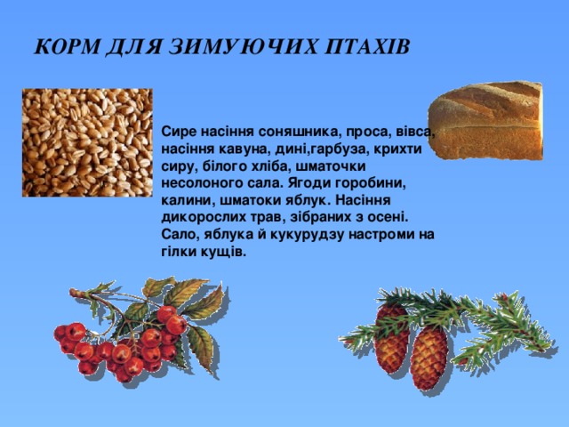 КОРМ ДЛЯ ЗИМУЮЧИХ ПТАХІВ Сире насіння соняшника, проса, вівса, насіння кавуна, дині,гарбуза, крихти сиру, білого хліба, шматочки несолоного сала. Ягоди горобини, калини, шматоки яблук. Насіння дикорослих трав, зібраних з осені. Сало, яблука й кукурудзу настроми на гілки кущів. 