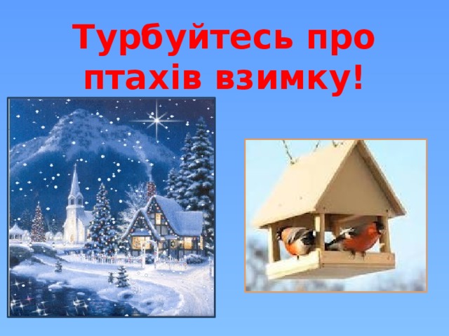 Турбуйтесь про птахів взимку! 