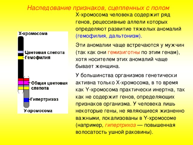 пол человека определяется в момент слияния гамет. Смотреть фото пол человека определяется в момент слияния гамет. Смотреть картинку пол человека определяется в момент слияния гамет. Картинка про пол человека определяется в момент слияния гамет. Фото пол человека определяется в момент слияния гамет