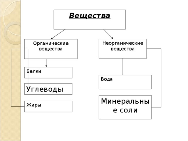 Вещества Неорганические вещества Органические вещества Белки Вода Углеводы Минеральные соли Жиры 