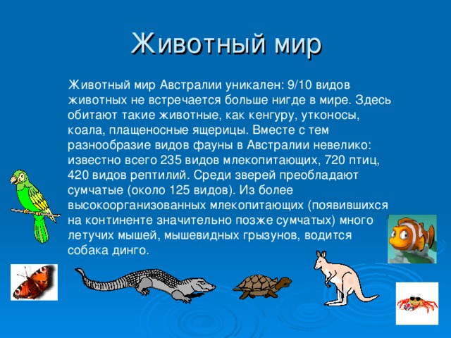 Животные сообщение 7 класс. Животный мир Австралии кратко. Животный мир Австралии презентация. Проект животные Австралии. Животный мир Австралии доклад.