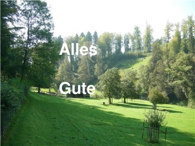  Alles  Gute!  Alles  Gute 
