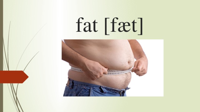 fat [fæt]   