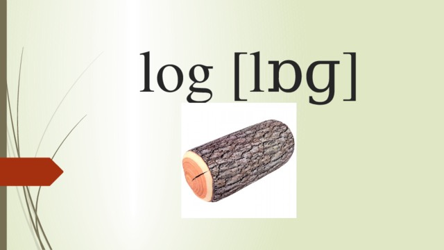 log [lɒɡ] 