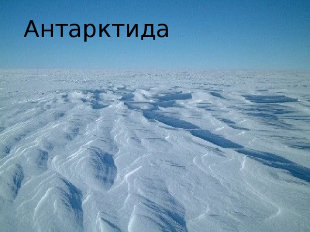 Антарктида