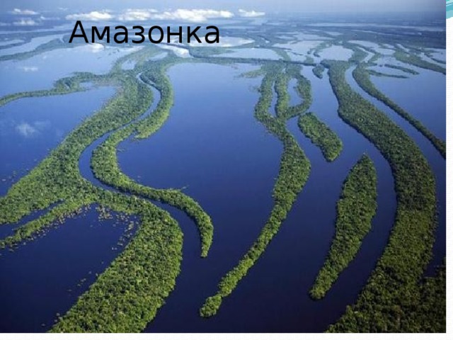 Амазонка