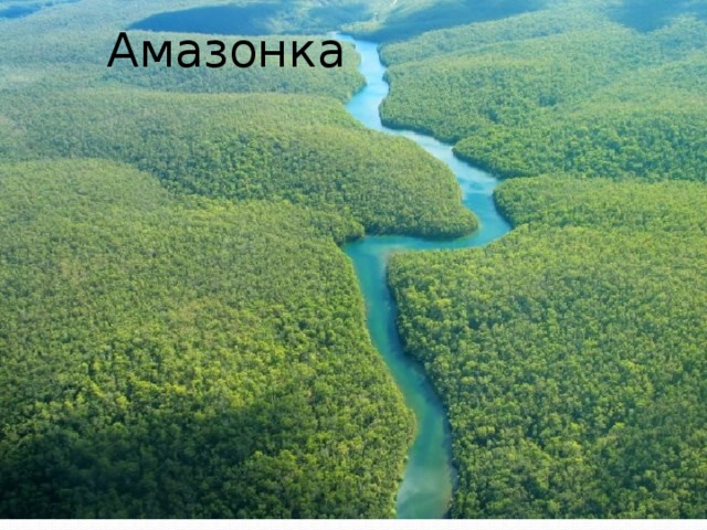 Амазонка