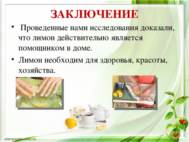 ЗАКЛЮЧЕНИЕ