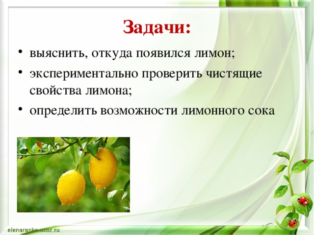 Задачи:
