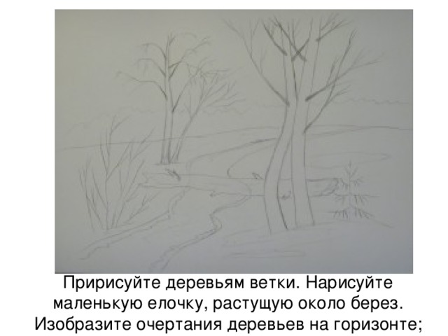 Пририсуйте деревьям ветки. Нарисуйте маленькую елочку, растущую около берез. Изобразите очертания деревьев на горизонте; 