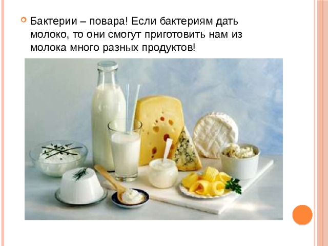 Бактерии – повара! Если бактериям дать молоко, то они смогут приготовить нам из молока много разных продуктов! 