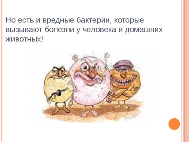 Но есть и вредные бактерии, которые вызывают болезни у человека и домашних животных! 