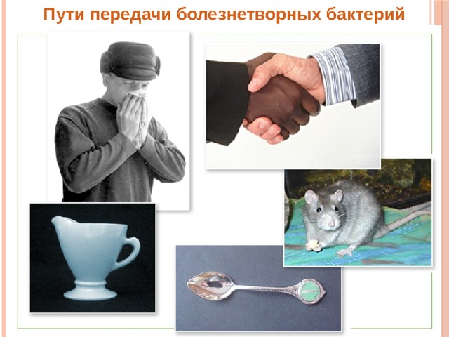 Пути передачи болезнетворных бактерий 