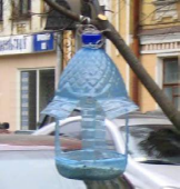 konsul-tatsiia-dlia-roditieliei-pomozhiem-ptitsam-zimoi_2.png