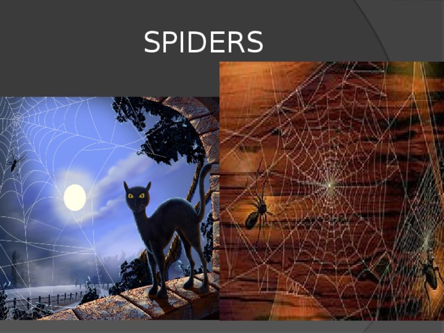 SPIDERS 