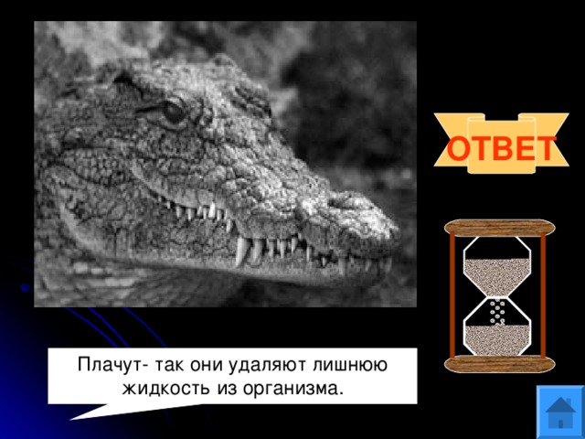 Вопрос 5 Существует выражение «лить крокодиловы слёзы». А плачут ли крокодилы, почему? ОТВЕТ Плачут- так они удаляют лишнюю жидкость из организма. 