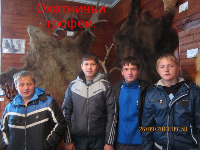 Охотничьи трофеи. 