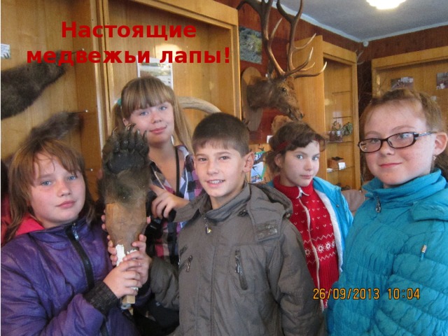 Настоящие медвежьи лапы! 