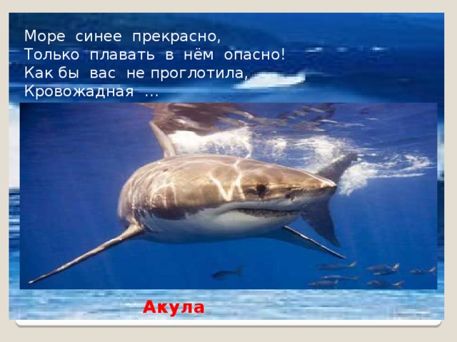 Море синее прекрасно, Только плавать в нём опасно! Как бы вас не проглотила, Кровожадная … Акула 