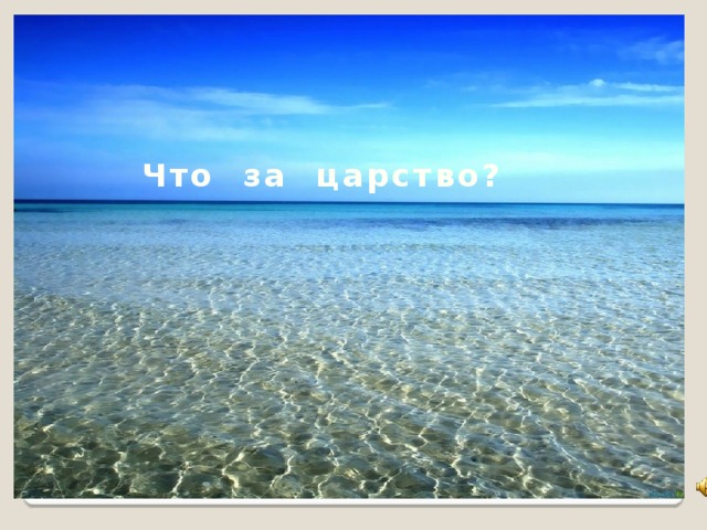 Что за царство?  