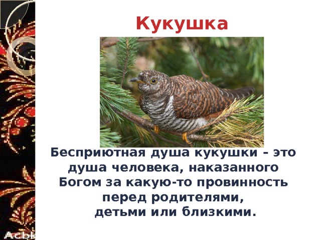 Отец кукушка картинки