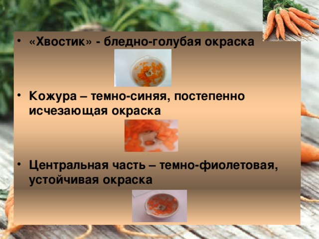 «Хвостик» - бледно-голубая окраска   Кожура – темно-синяя, постепенно исчезающая окраска   Центральная часть – темно-фиолетовая, устойчивая окраска  