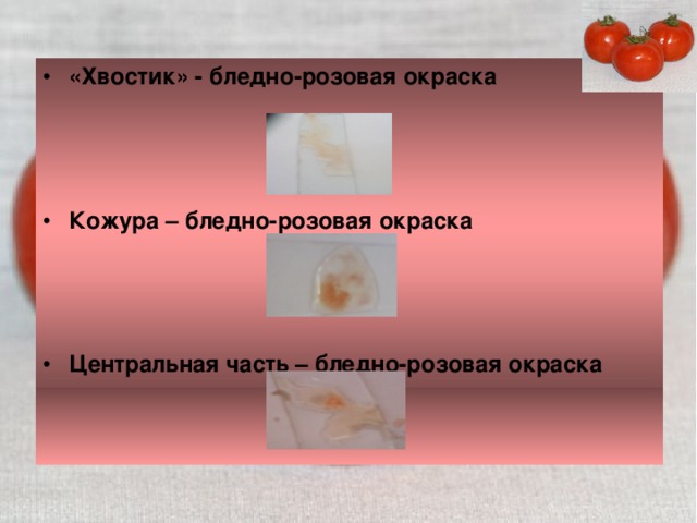 «Хвостик» - бледно-розовая окраска    Кожура – бледно-розовая окраска    Центральная часть – бледно-розовая окраска  