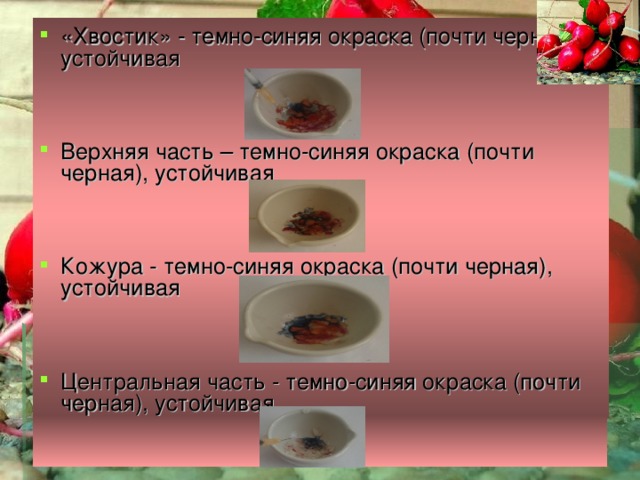 «Хвостик» - темно-синяя окраска (почти черная), устойчивая   Верхняя часть – темно-синяя окраска (почти черная), устойчивая   Кожура - темно-синяя окраска (почти черная), устойчивая   Центральная часть - темно-синяя окраска (почти черная), устойчивая   