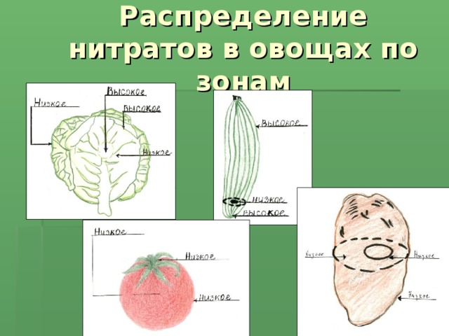 Распределение нитратов в овощах по зонам  